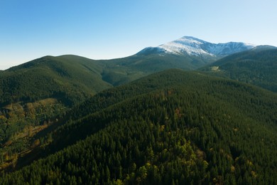 Image of Beautiful mountains covered with forest on sunny day. Drone photography