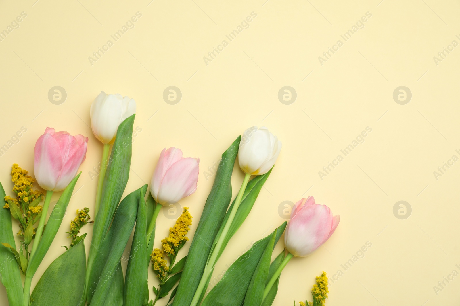 Photo of Flat lay composition with spring flowers on yellow background. Space for text