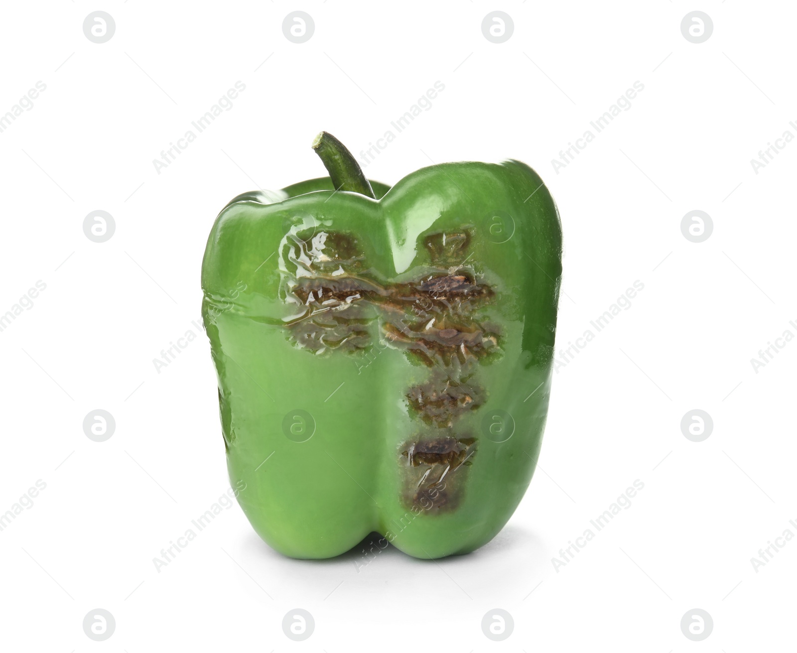 Photo of Grilled ripe paprika pepper on white background