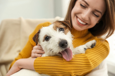 Photo of Young woman with her cute Jack Russell Terrier at home, closeup. Lovely pet