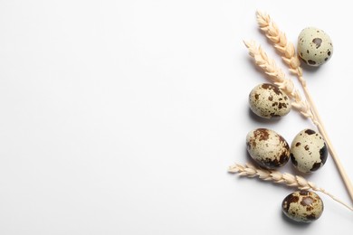 Photo of Speckled quail eggs and spikelets on white background, flat lay. Space for text