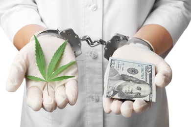 Photo of Doctor in handcuffs holding dollars and leaf of medical hemp on white background, closeup