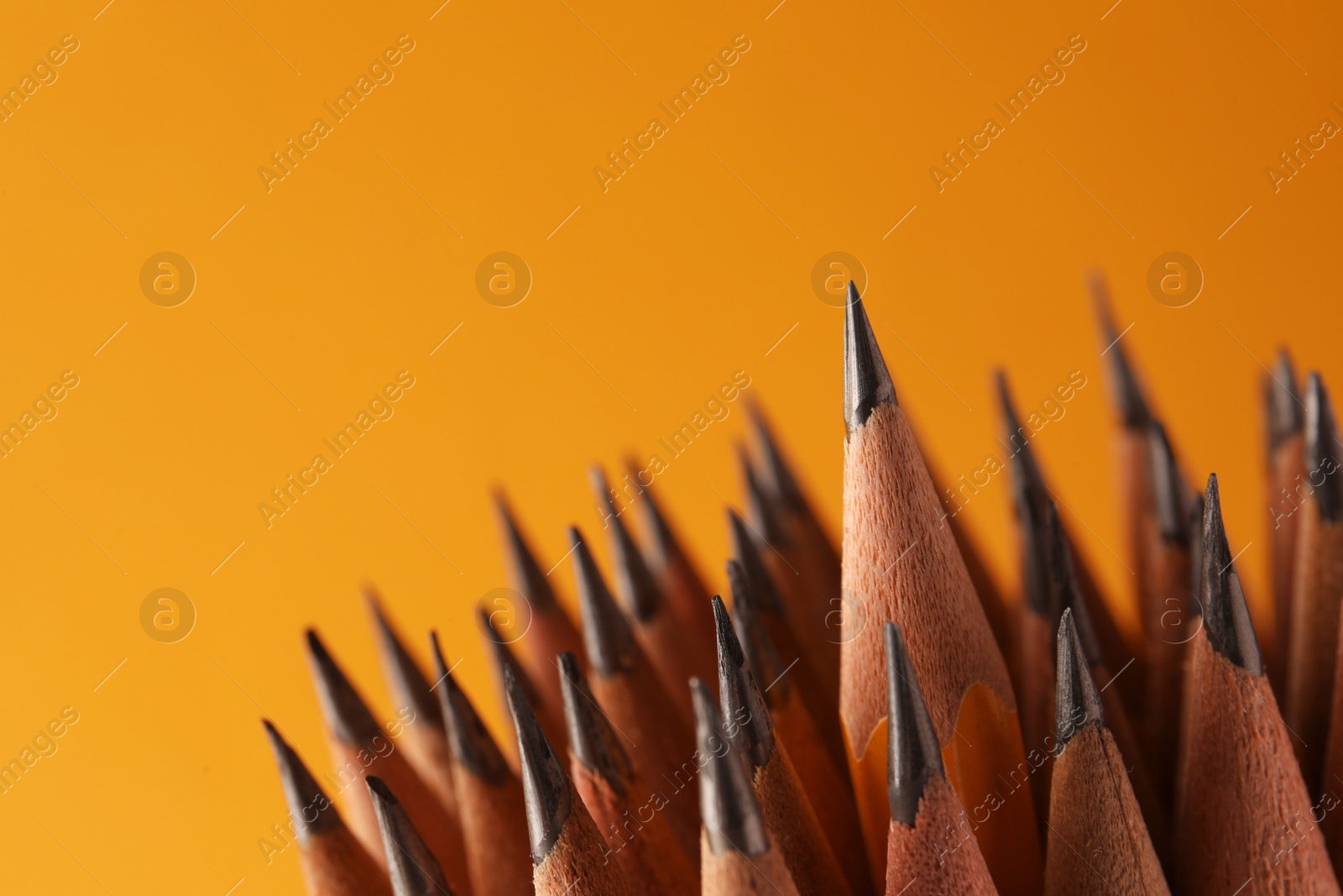 Photo of Many sharp graphite pencils on orange background, closeup. Space for text