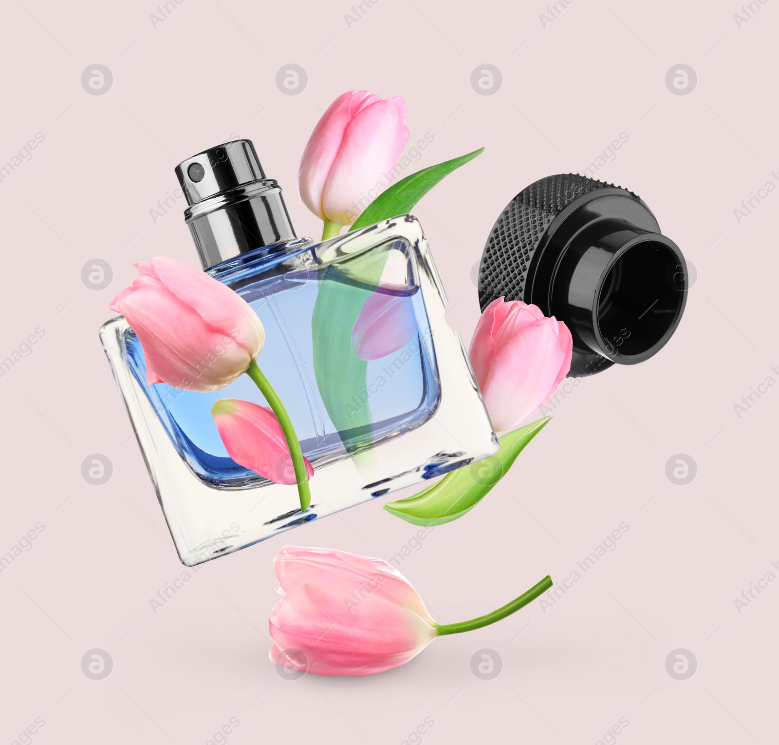 Image of Bottle of perfume and tulips in air on beige pink background