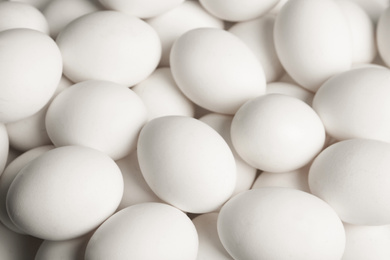 Photo of Fresh raw white chicken eggs as background, above view