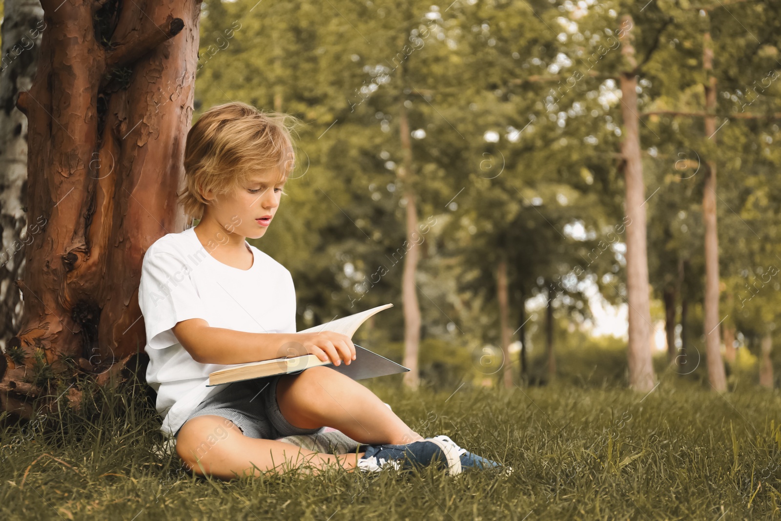 Photo of Cute little boy reading book on green grass near tree in park