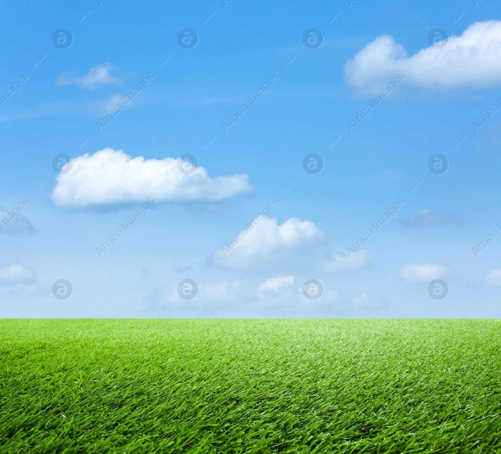 Image of Green grass under blue sky with clouds