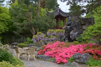 HAREN, NETHERLANDS - MAY 23, 2022: Beautiful view of plants and oriental gazebo in Chinese garden
