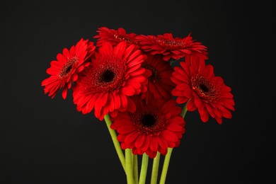 Bouquet of beautiful red gerbera flowers on black background