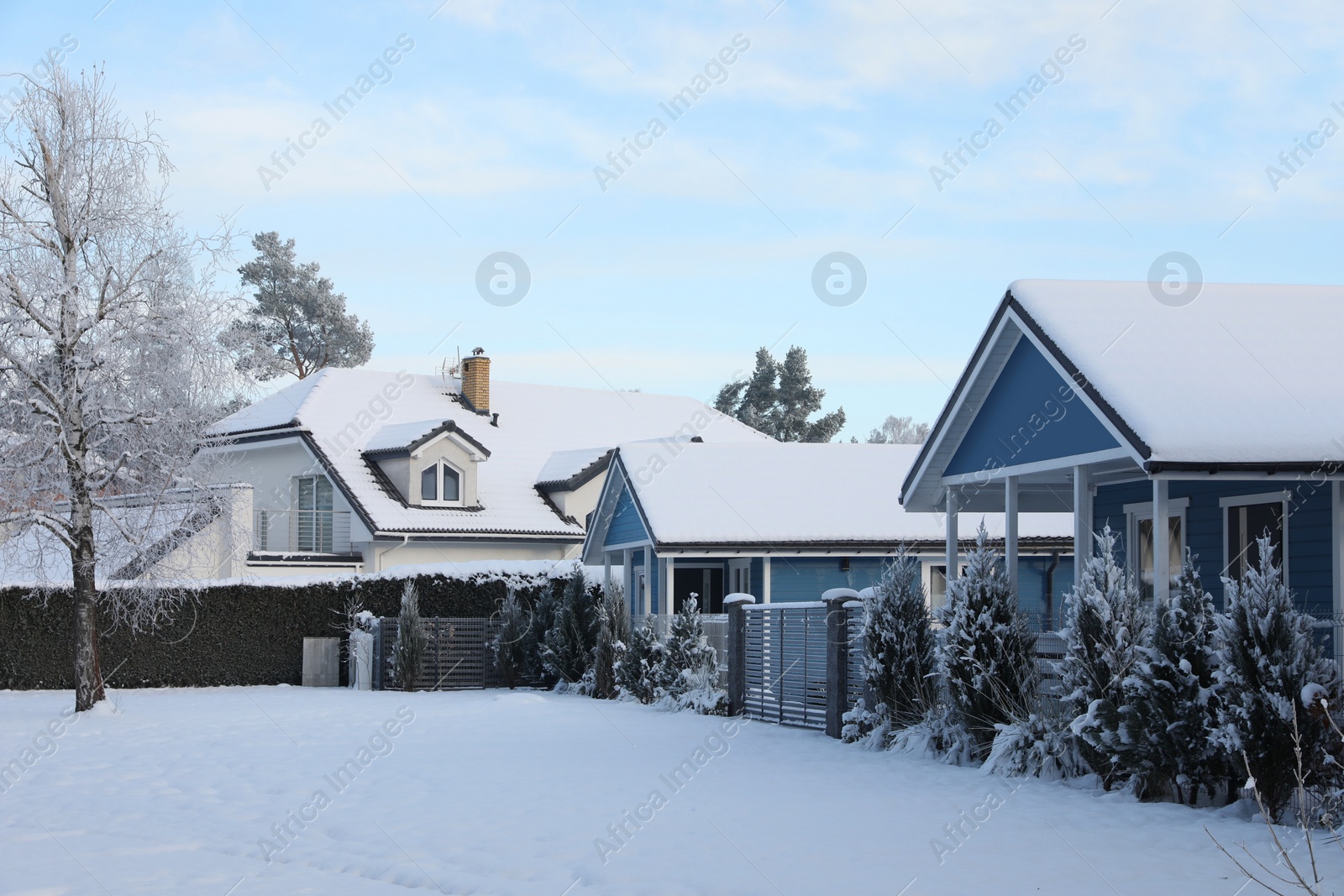 Photo of Winter landscape with beautiful houses, trees and bushes in morning