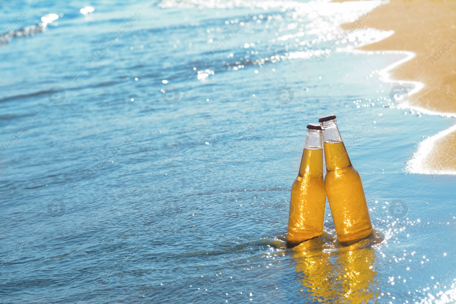 Photo of Bottles of cold beer in sea water, space for text