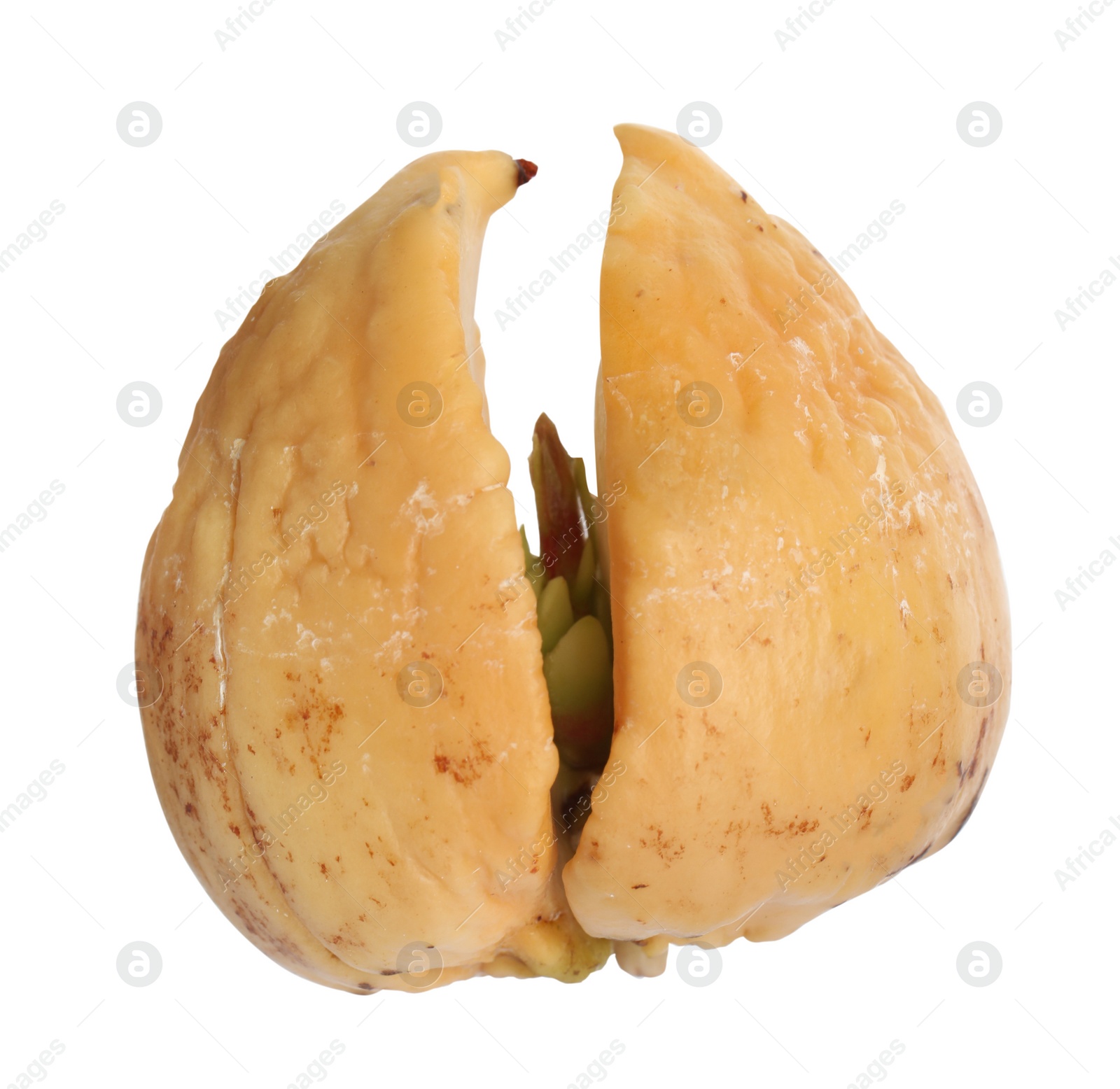 Photo of Small organic avocado pit on white background