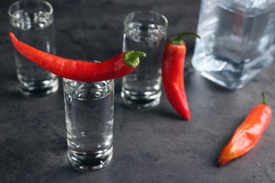 Red hot chili peppers and vodka on grey table