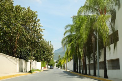 Photo of Picturesque view of city street and palm trees