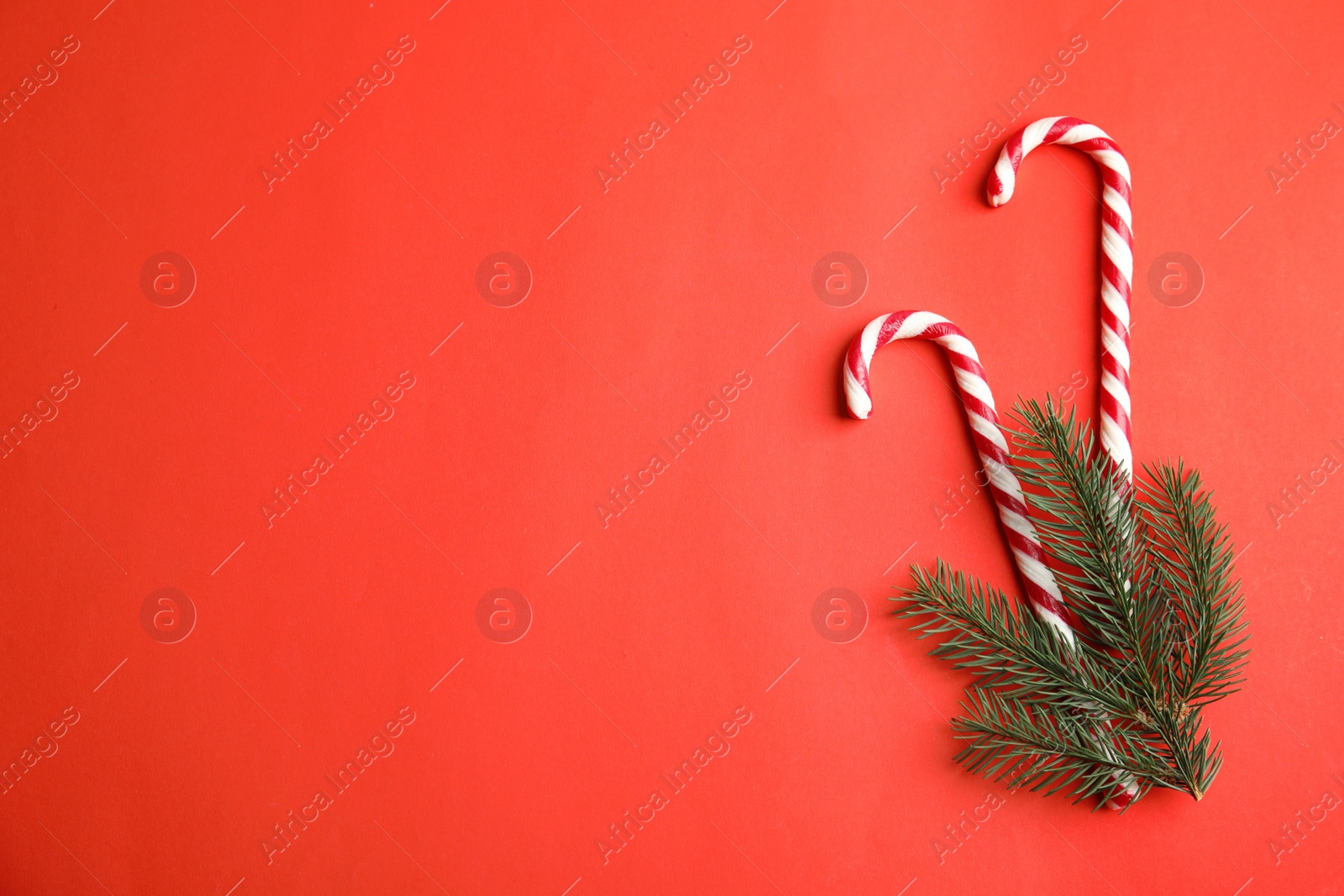 Photo of Candy canes on red background, flat lay. Space for text