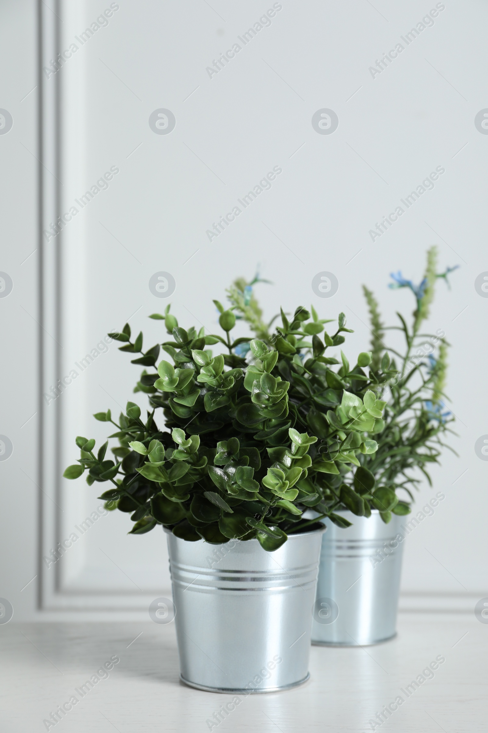 Photo of Aromatic potted herbs on wooden table near white wall