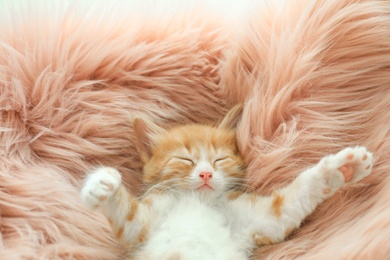 Cute little kitten sleeping on pink furry blanket, above view