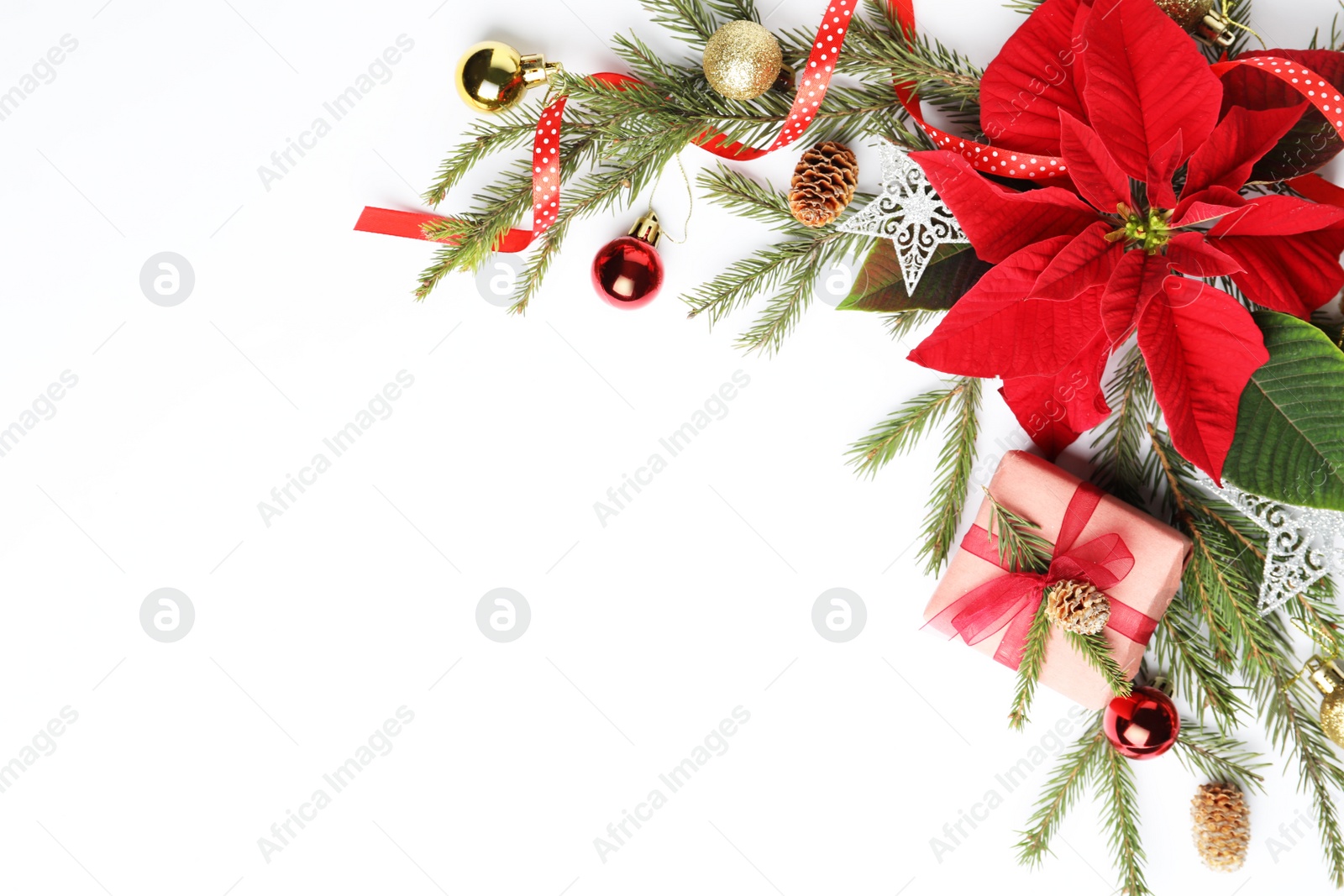 Photo of Flat lay composition with beautiful poinsettia and gift on white background, space for text. Christmas traditional flower