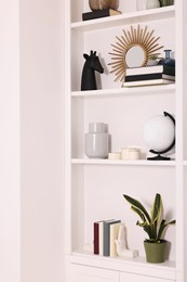 Photo of Interior design. Shelves with stylish accessories, potted plant and books near white wall