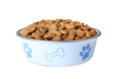 Dry dog food in pet bowl isolated on white