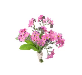 Bouquet of beautiful pink Forget-me-not flowers isolated on white