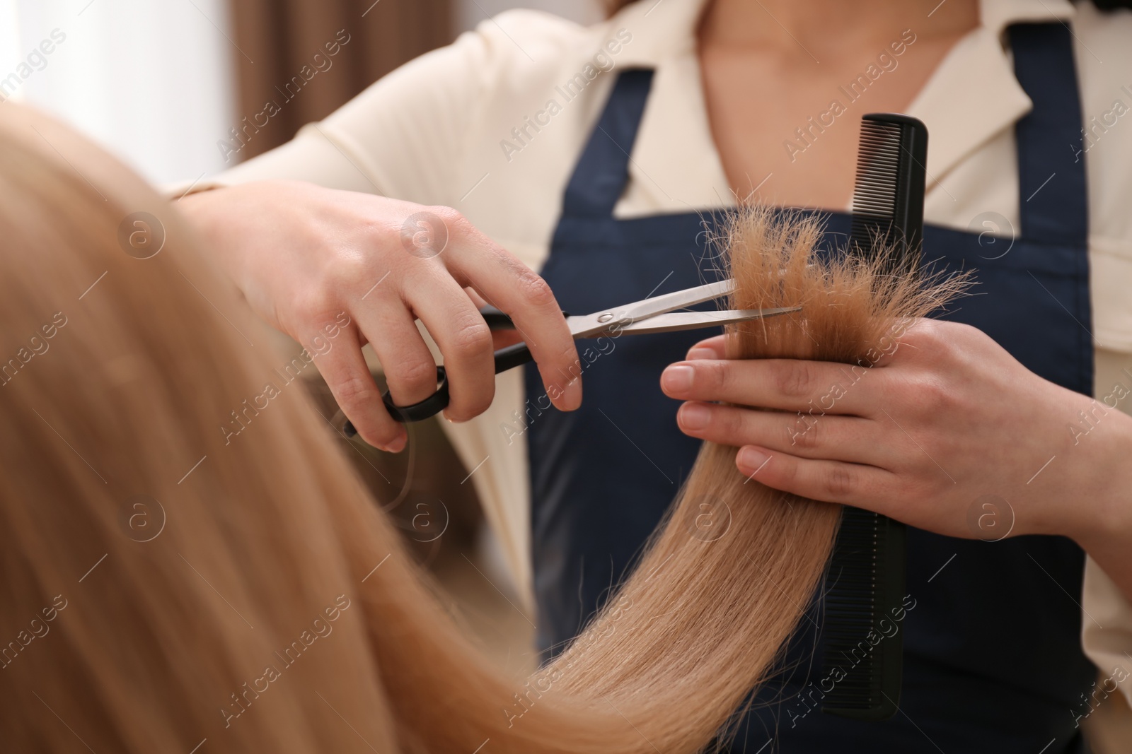 Photo of Stylist cutting hair of client in professional salon, closeup