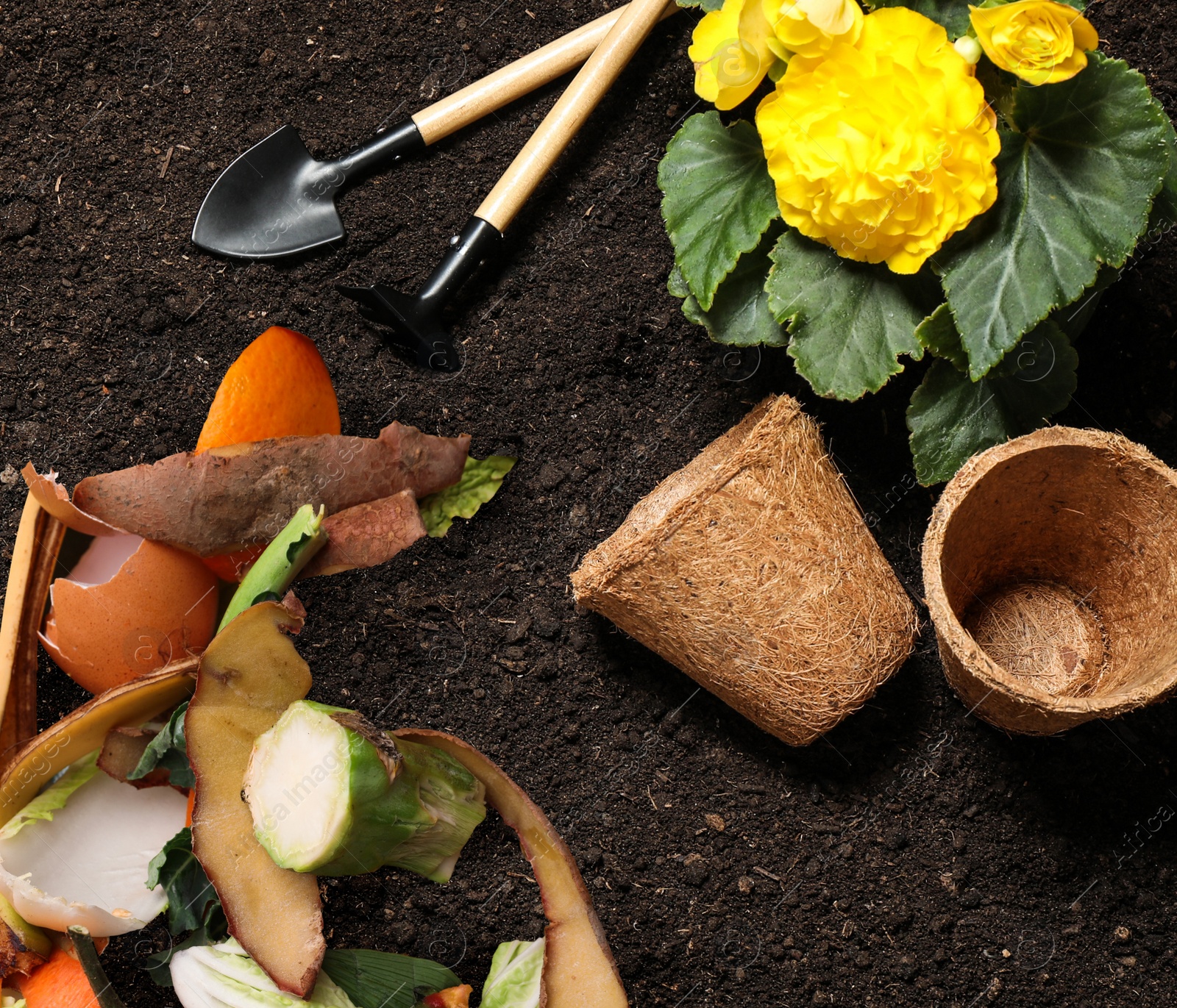 Image of Gardening tools, flower and organic waste for composting on soil, flat lay. Natural fertilizer