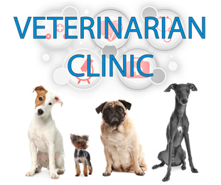Collage with different dogs and text VETERINARIAN CLINIC on white background