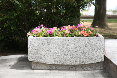 Beautiful flowers in stone plant pot outdoors on sunny day