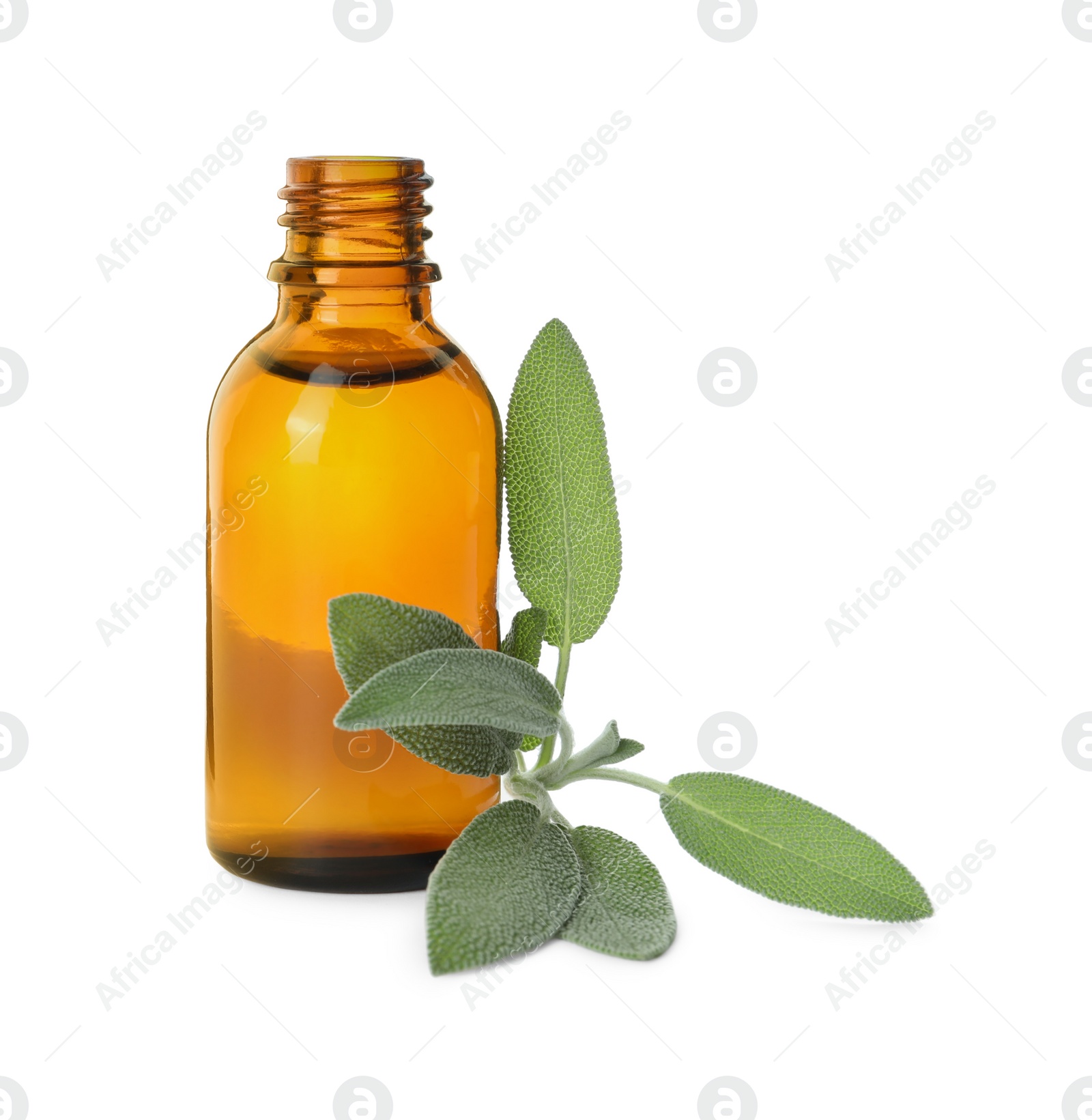 Photo of Bottle of essential oil and sage isolated on white