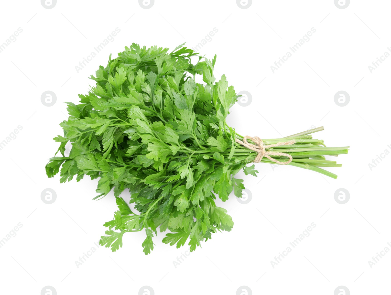 Bunch of fresh green parsley isolated on white, top view Photo of Bunch of fresh green parsley isolated on white, top view