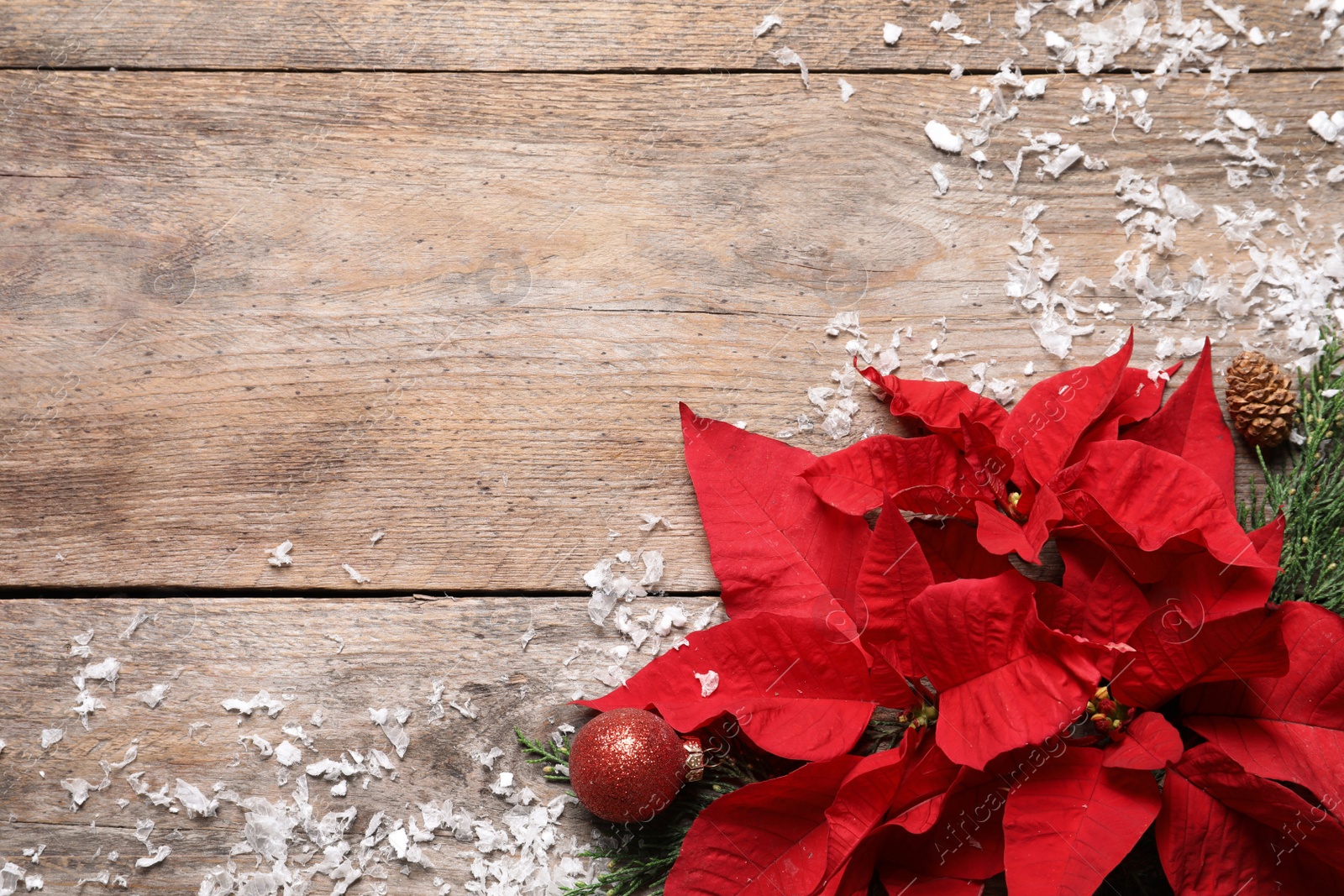 Photo of Flat lay composition with poinsettia and space for text on wooden background. Traditional Christmas flower