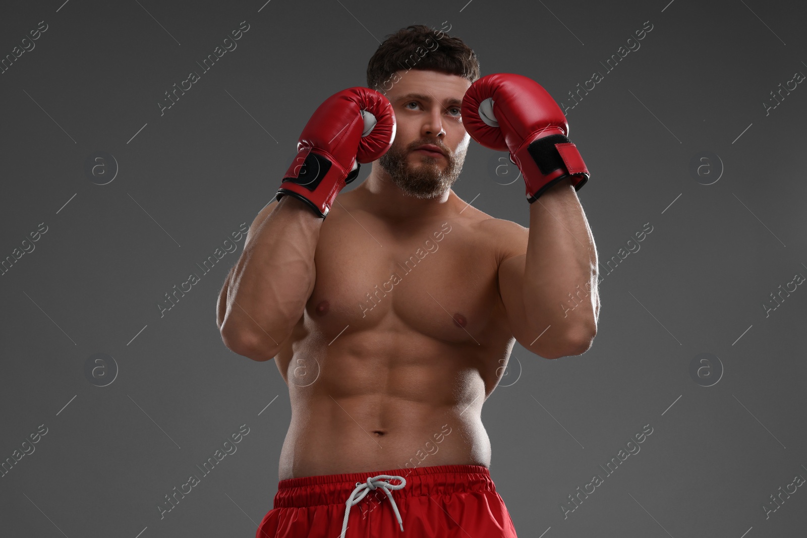 Photo of Man in boxing gloves on grey background, low angle view