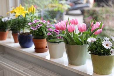 Photo of Many beautiful blooming potted plants on windowsill indoors