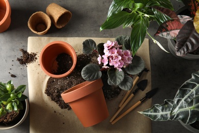 Photo of Flat lay composition with pots, home plants and gardening tools on grey background