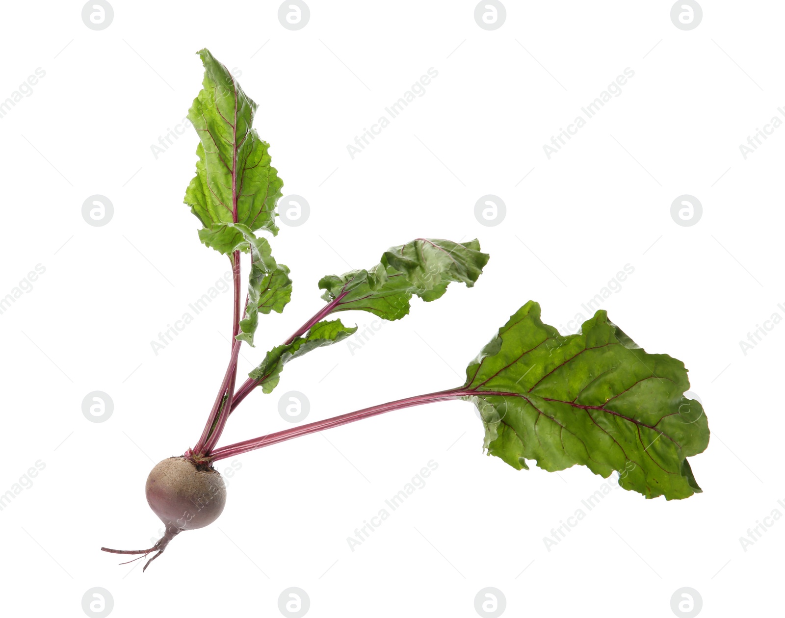 Photo of Fresh beet with leaves on white background