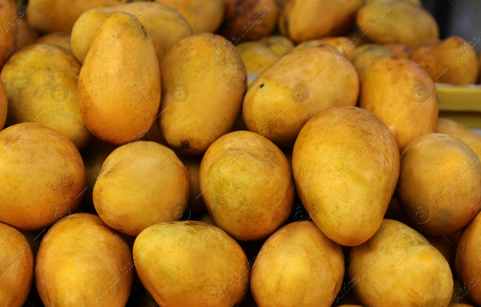 Photo of Pile of delicious ripe yellow mangoes, closeup