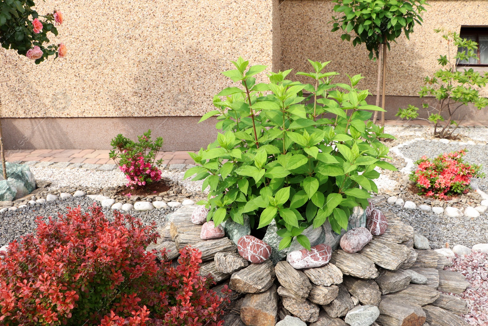 Photo of Beautiful gravel garden with different plants in yard