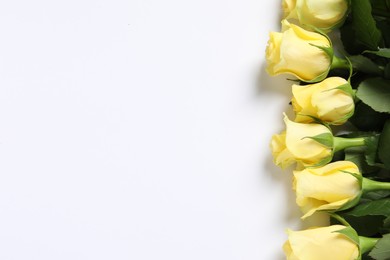 Photo of Beautiful yellow roses on white background, top view. Space for text