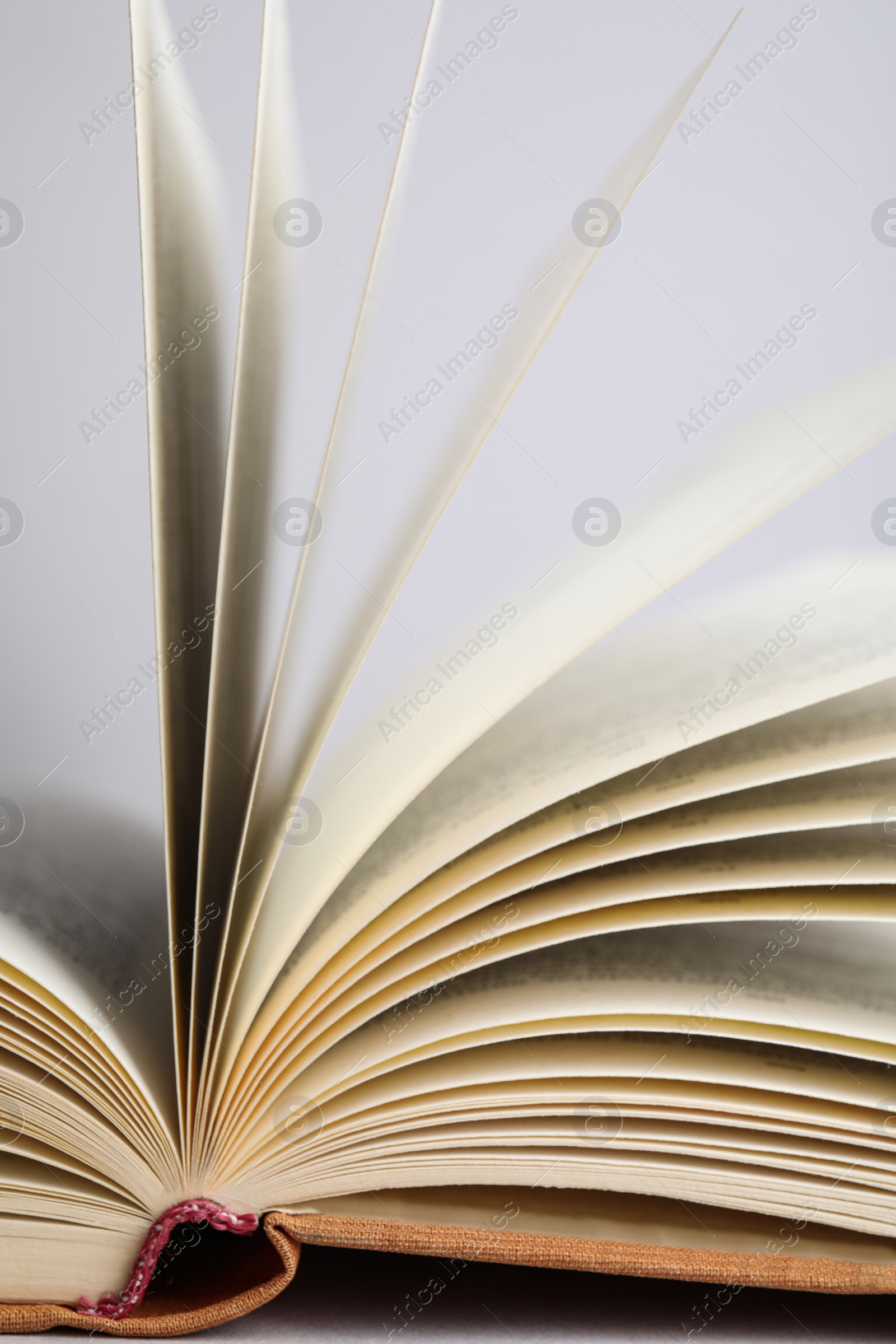 Photo of Closeup view of open book on light background