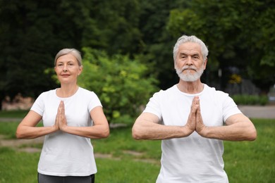 Photo of Senior couple practicing yoga in park. Healthy lifestyle
