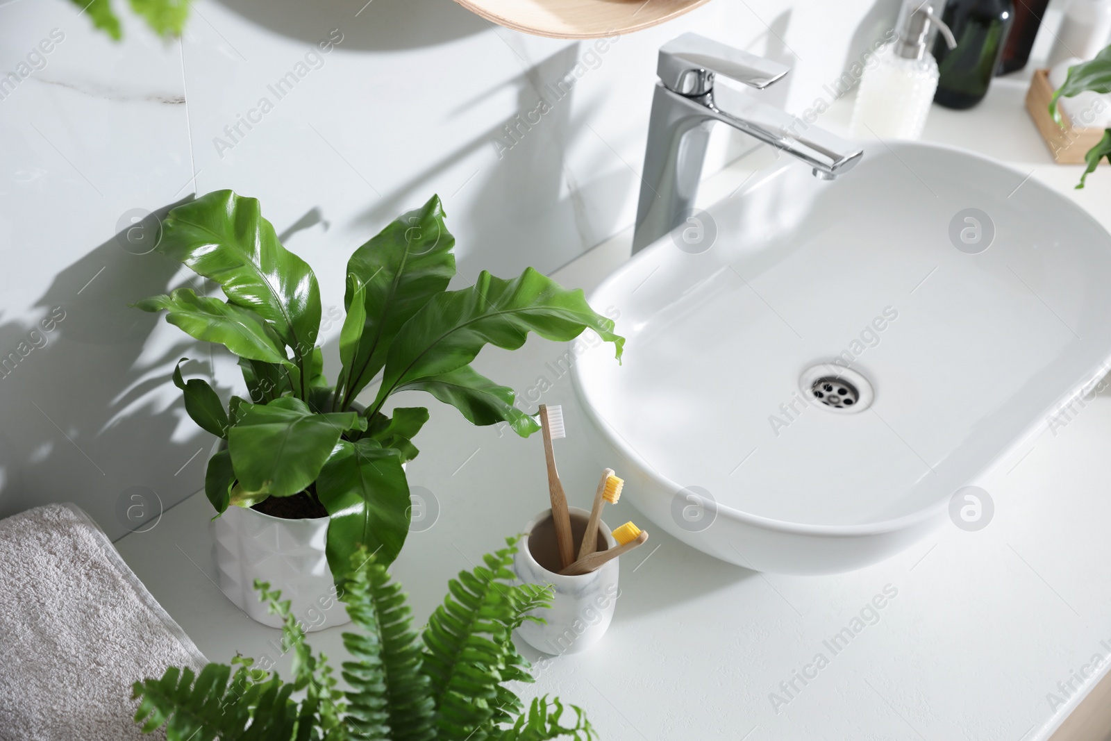 Photo of Beautiful green ferns, towels and toothbrushes on countertop in bathroom