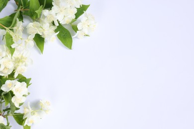 Photo of Beautiful jasmine flowers on white background, top view. Space for text