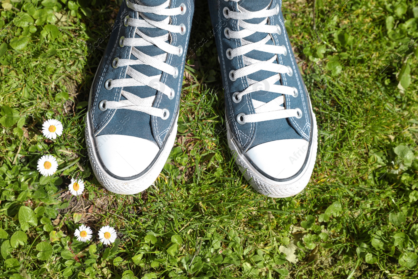 Photo of Person in stylish gumshoes standing on grass near beautiful blooming flowers, above view