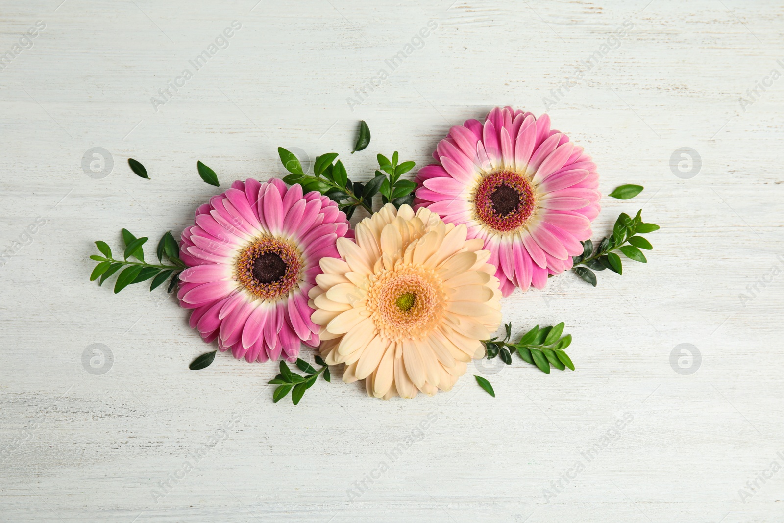 Photo of Flat lay composition with beautiful bright gerbera flowers on wooden background