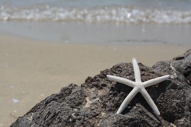 Photo of Beautiful starfish on black stone near sea, space for text