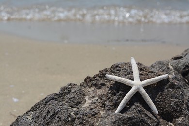 Beautiful starfish on black stone near sea, space for text