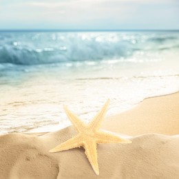 Image of Beautiful starfish on sandy beach near sea, space for text