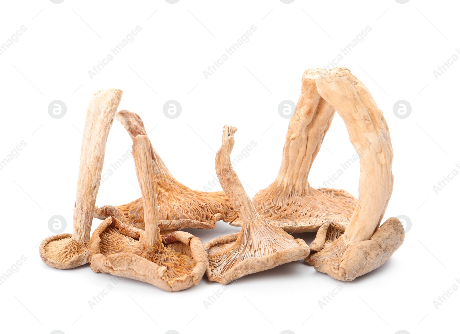 Photo of Delicious organic dried mushrooms on white background