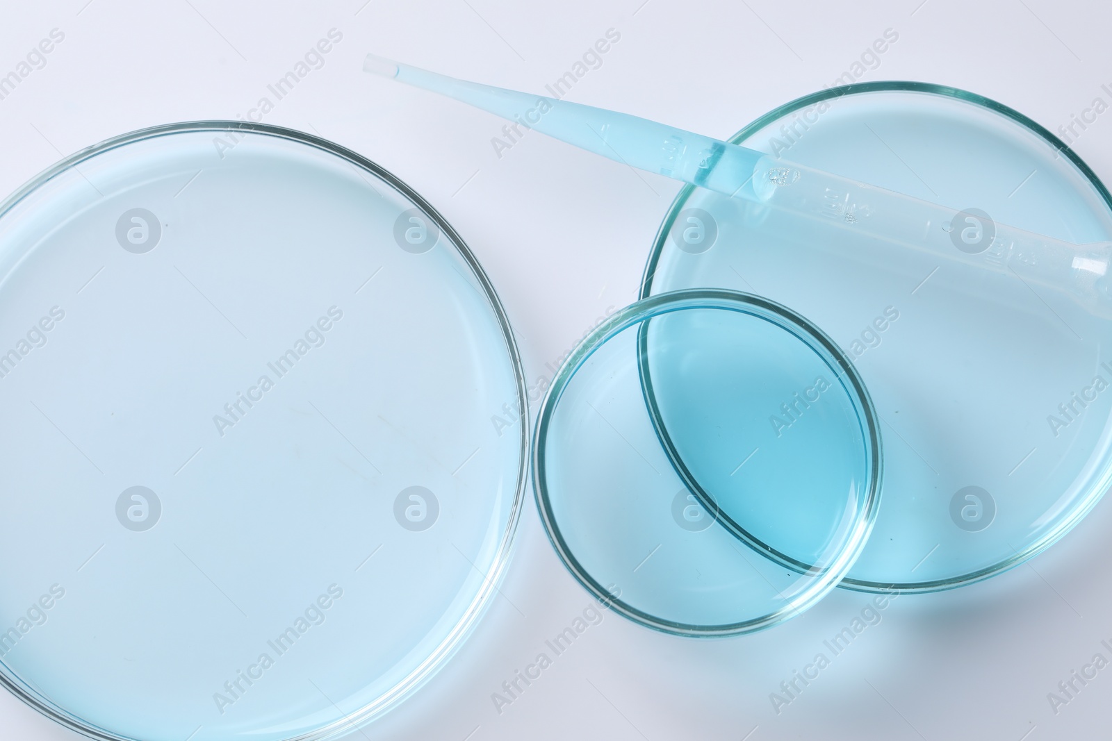 Photo of Transfer pipette and petri dishes on white table, flat lay